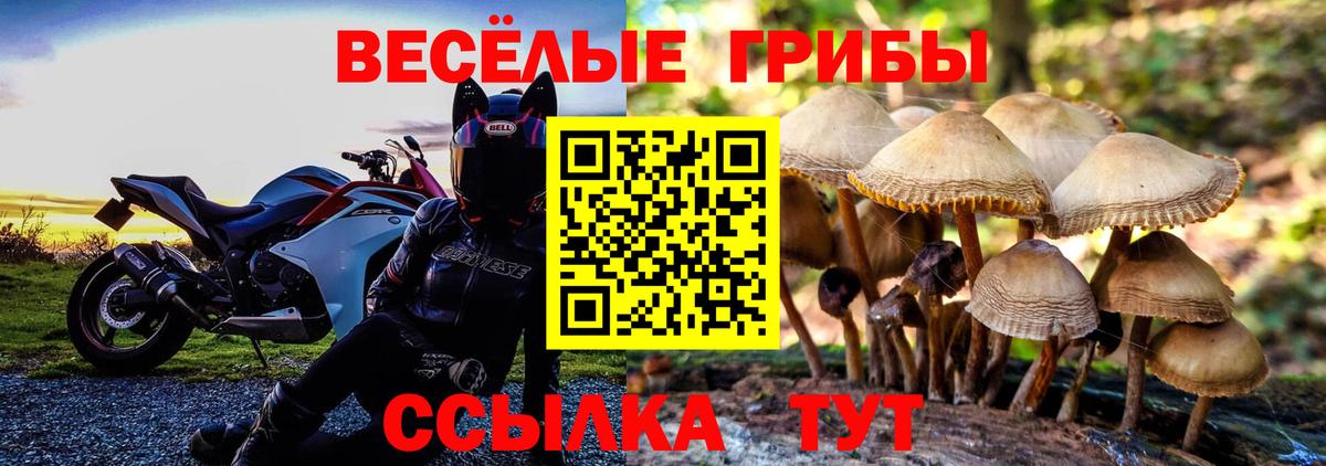 Галлюциногенные грибы мухоморы Ейск