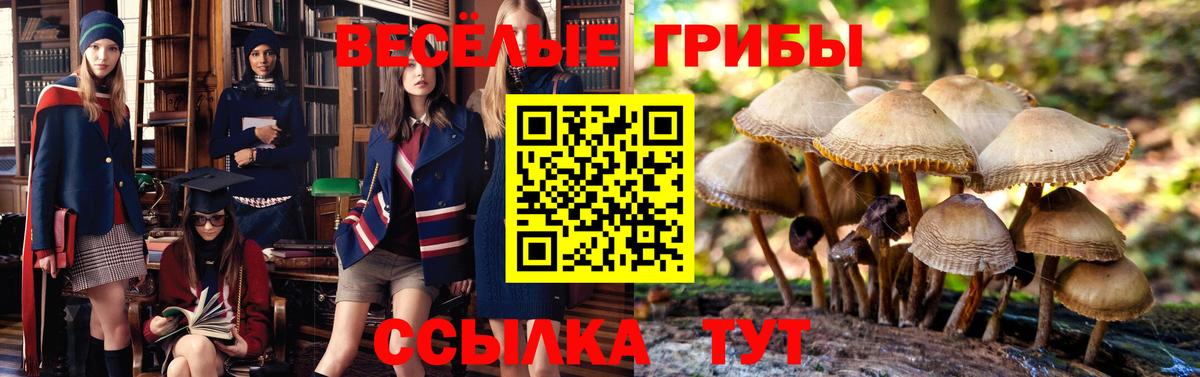 Галлюциногенные грибы прущие грибы  Галлюциногенные грибы Psilocybine cubensis  Ейск  Вход с VPN 